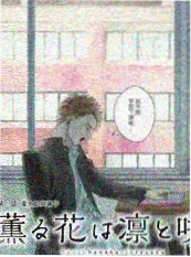 一起去露营吧 综艺海报
